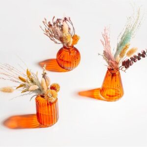 three orange amber vintage style vases in different shaped with dried flowers on a white background