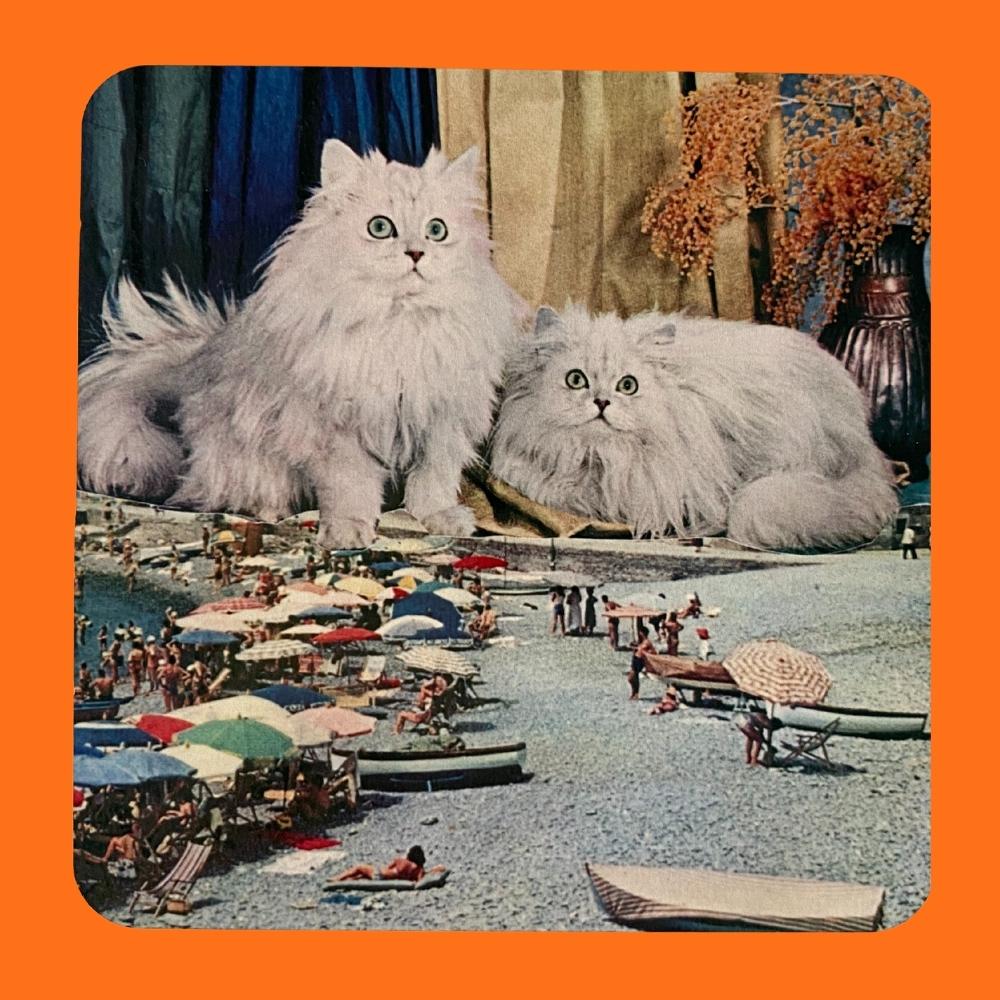 hot drinks coaster with a surrealist collage print of two large Persian cats that are super imposed onto a beach scene
