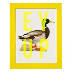 wall art print with mallard duck in a yellow frame with yellow large oversized text across saying ey up duck
