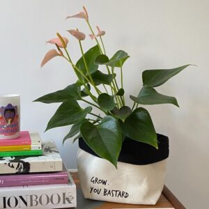 canvas plant pot cover with words grow you bastard printed on with plant inside on a table with a candle and books