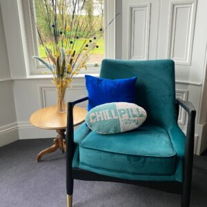 teal chair by window next to table with flowers with one blue cushion and a tablet medicinal pill shaped cushion that says chill pill